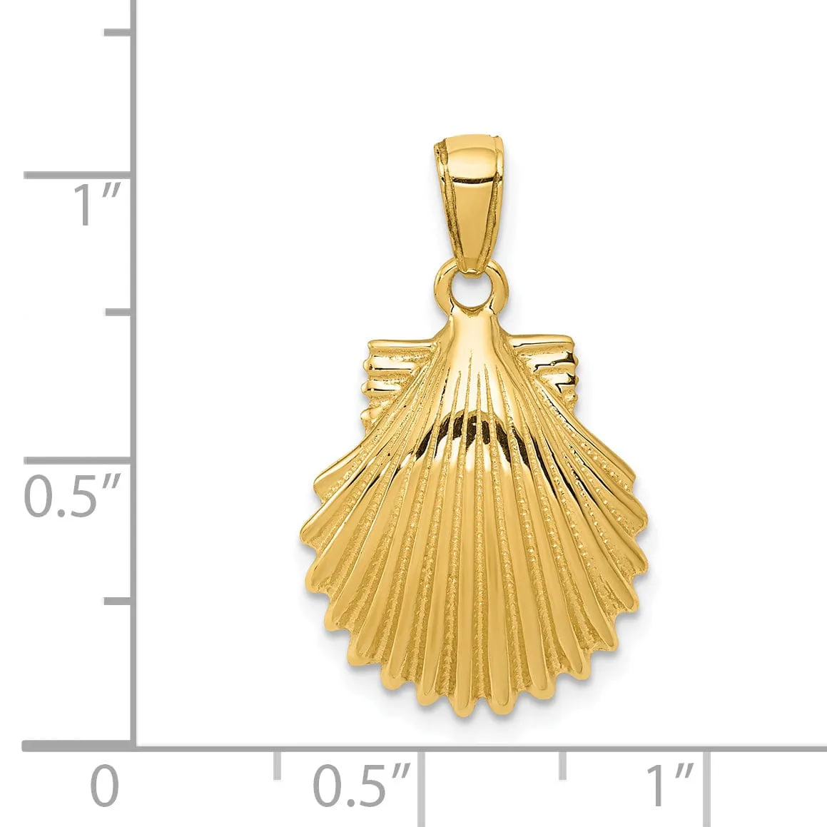 14k Yellow Gold Textured Polished Finish Solid Scallop SeaShell Charm Pendant