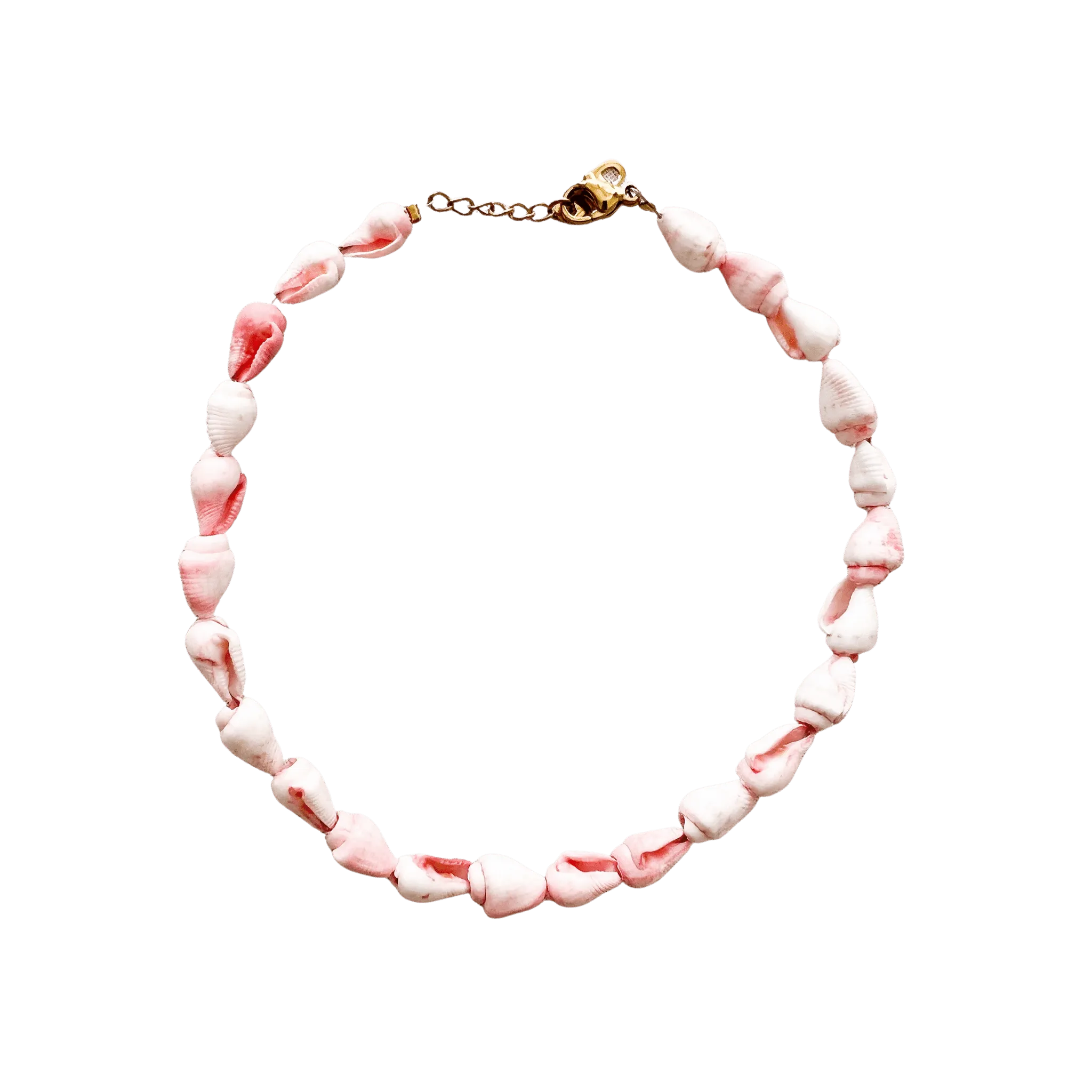 Seashell Anklets
